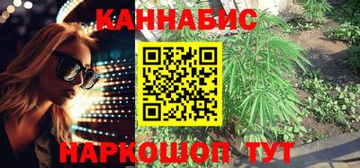 Альфа ПВП Кингисепп