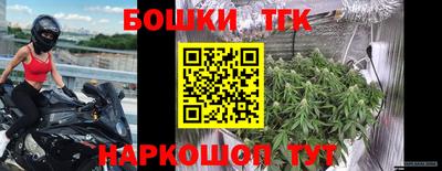 Альфа ПВП Кингисепп