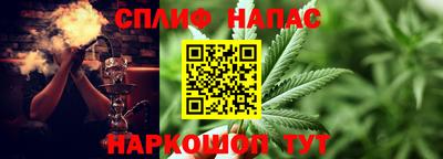 Альфа ПВП Кингисепп