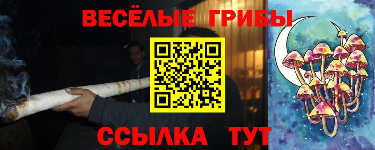 Биробиджан  Галлюциногенные грибы прущие грибы  Вход с VPN  где купить наркоту  Галлюциногенные грибы ЛСД 