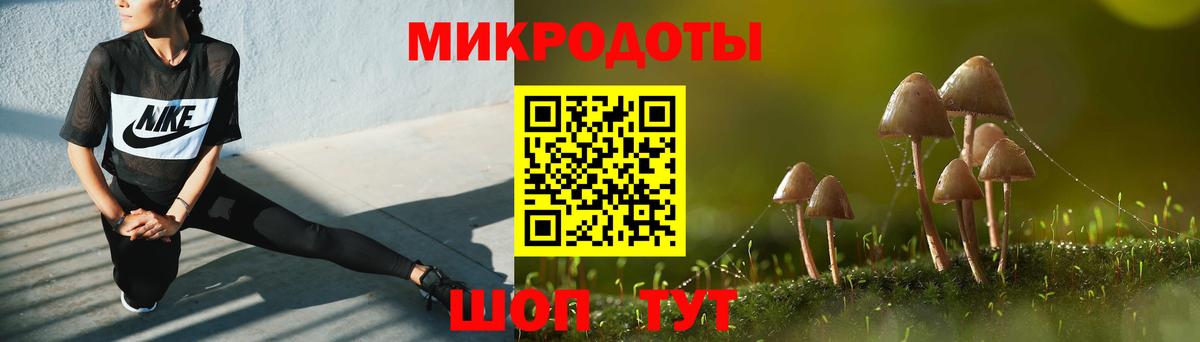 Псилоцибиновые грибы Psilocybe Биробиджан